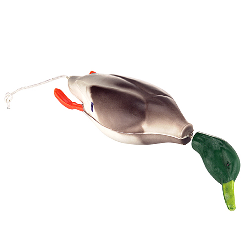 duck.jpg
